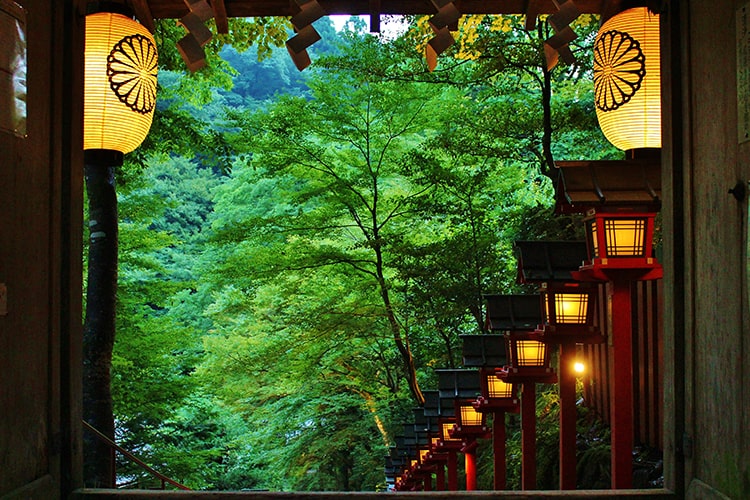 木津川神社_雪の氣生根