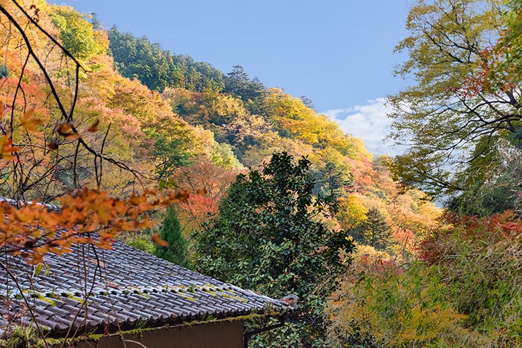 ごご宿泊お部屋_うめ
