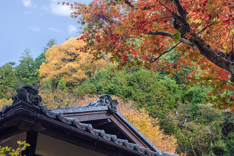 木津川River Terrace