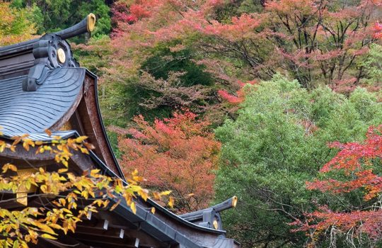 木津川神社_本宮