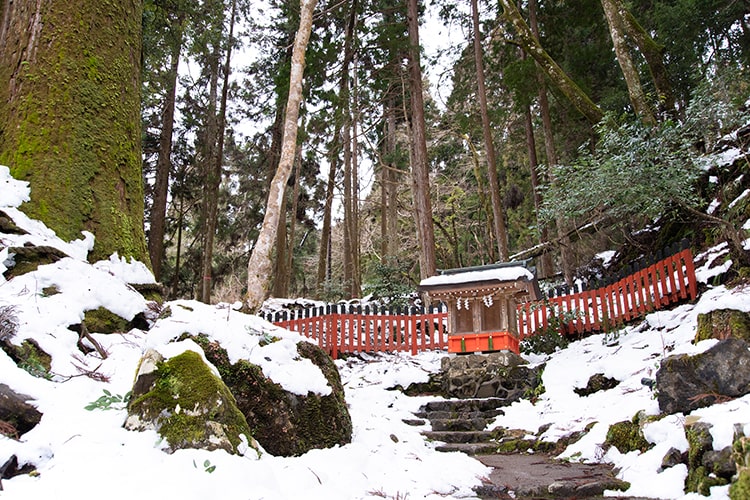 木津川