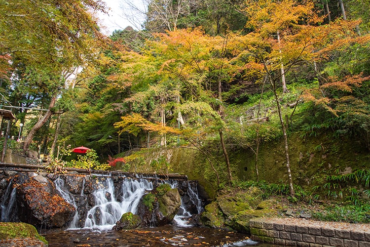 木津川川